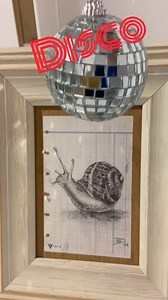 11 reactions · 3 comments | Disco snails ! Inside every snail shell is a tiny disco ball Disco isn’t dead but it turned out it’s just very small #saskiavanderdonk #sassiesassie #discosnails #snails #disco #vulfpeck | Saskiart.com | Facebook