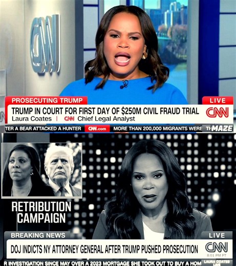 @thelauracoates @CNN fake news