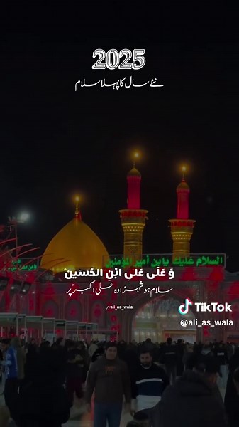 علیؑ والا❤️ (@ali_as_wala)’s videos with original sound - علیؑ والا❤️