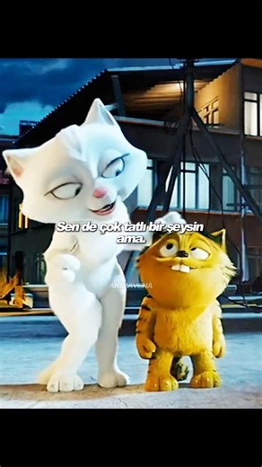 Kötü Kedi Şerafettin #animasyon #drama #hüzün #shorts #keşfet