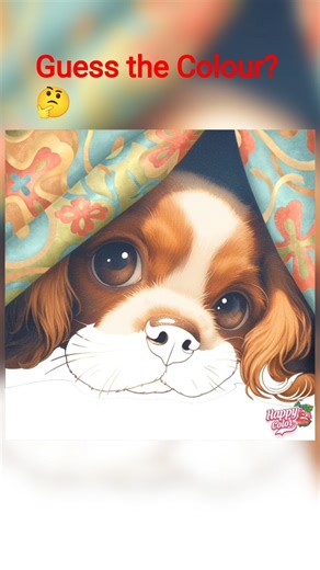 Guess the Colour 🫟#happycolor #art #shorts