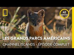In the Heart of America's Great Parks | Channel Islands | Full Episode