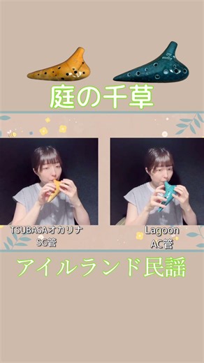 オカリナ演奏『庭の千草-The Last Rose of Summer-』#アイルランド民謡 #アイリッシュ #オカリナ #ocarina #唱歌 #庭の千草 #Irish #ケルト #民族音楽