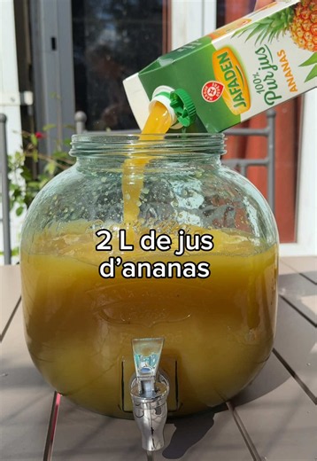 Recette punch à préparer 24h à l’avance 6L pour 34 verres 🍹 #recette #party #cocktail