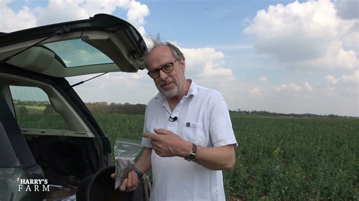 Oilseed Harvest Hit by Major Losses