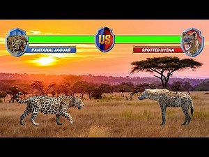 Jaguar Vs Hyena