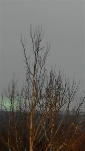 Alien VS aurora #storm #weather #science #nature