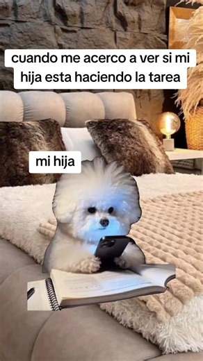 #Meme #MemeCut #CapCut # | meme