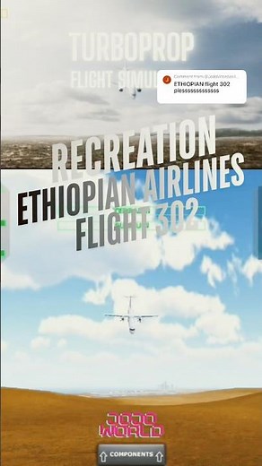 TFS : ETHIOPIAN AIRLINES FLIGHT 302