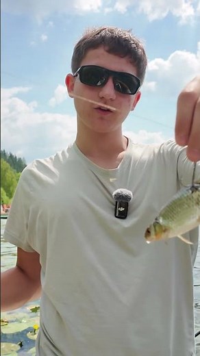 Raubfischangeln am Erlaufsee 🎣👍 #angeln