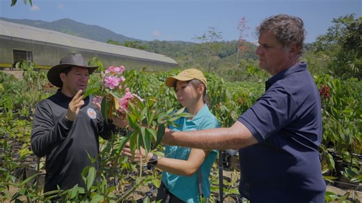 ROOTS: A Greening Journey - A Garden City’s Latin American Roots