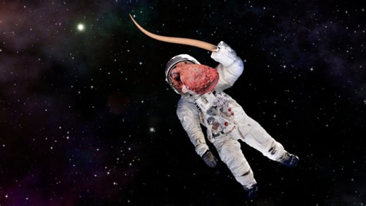 Funny, Alien, Astronaut. Free Stock Video