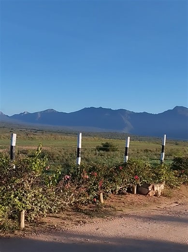 Long-Distance Love: What to Ask Your Boyfriend