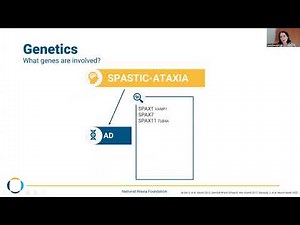 All About Spastic Ataxia