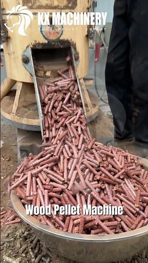 Wood Pellet Machine: Stable Multi-Functional Pellet Production Solution #pelletmachine #pelletmill