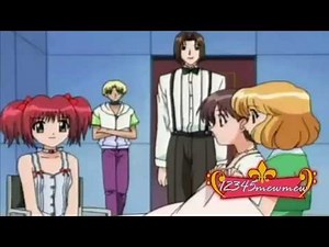 Mew Mew Power - Capítulo 23 [Español Latíno]