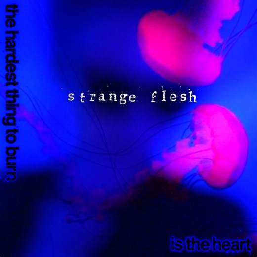 Strange Flesh The Hardest Thing To Burn Is The Heart
