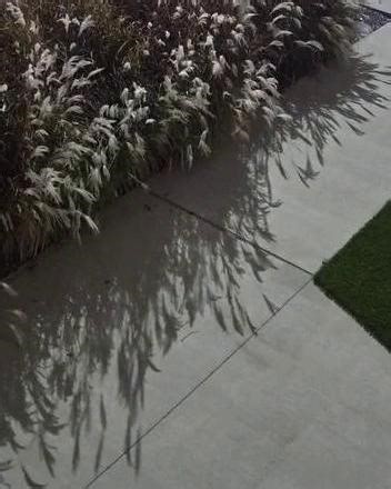 @gore.reel on Instagram: "Follow @gore.reel for more 🩸 《洞》(2003 年）讲述了斯坦利·叶纳茨四世（希亚·拉博夫饰）的故事,他是一名青少年,被错误地判定犯有盗窃罪,并被送往德克萨斯州残酷的青少年拘留中心绿湖营。被拘留者由腐败的沃克监狱长（西格妮·韦弗饰）管理,他们必须每天挖洞寻找与不法之徒基辛·凯特·巴洛有关的宝藏。斯坦利与赫克托·"零"·泽罗尼成为朋友,打破了家庭诅咒并找到了宝藏。 剧情概要和关键元素 前提与诅咒:斯坦利·叶纳茨来自一个因曾曾祖父未能兑现对立陶宛算命师泽罗尼夫人的承诺而被诅咒"运气不好"的家庭。他因偷窃棒球明星克莱德·"甜脚"·利文斯顿捐赠的鞋子而被不公正地判刑。 绿湖营地:抵达后,斯坦利发现湖水早已干涸。这些男孩,包括“零”（克莱奥·托马斯饰）、腋窝、之字形、鱿鱼、磁铁和 X 射线,被迫每天挖一个 5x5 英尺的洞来“塑造性格”,尽管典狱长实际上正在寻找被盗的宝藏。 交织的历史:这部电影在现在和过去之间切换,展示了 110 年前萨姆被谋杀后湖水如何干涸。萨姆是一名洋葱小贩,深受学校教师出身的姻亲凯瑟琳“亲吻