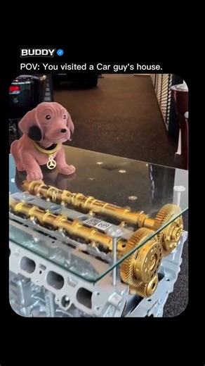 POV: You visited car guy's house.. #cardetailing