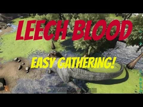 ARK FINDING LEECH BLOOD EASILY