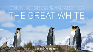 The Great White: South Georgia & Antarctica