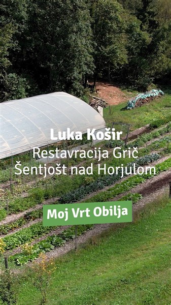 4.4K views · 16 reactions | Na vrtu je stalno dostopna sveža zelenjava, ki se porabi v kuhinji. #vrt | Vrt Obilja | Facebook