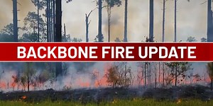 Backbone Fire in Kisatchie 100% contained