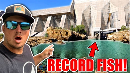 Massive urban dam hides secret fish angler finally catches