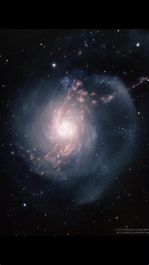NGC 3310, A Starburst Spiral, 55 Million Light Years in Ursa Major, #shorts