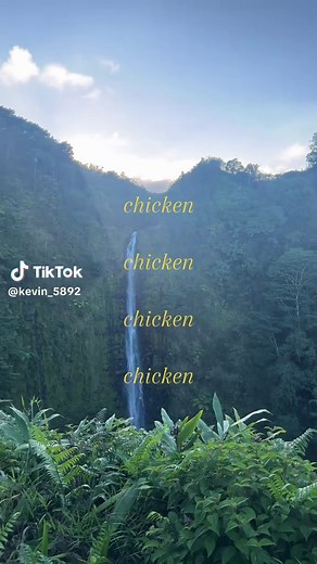 The Hilarious Chicken Meme Craze