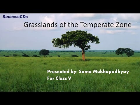 Grasslands - CBSE Class V Social Science Lesson