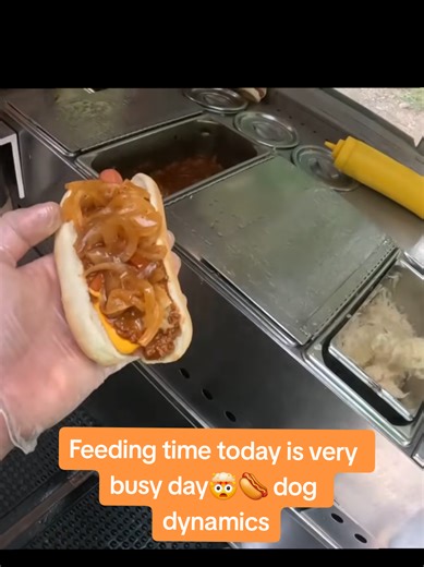 A Busy Day at the Hotdog Truck 🌭