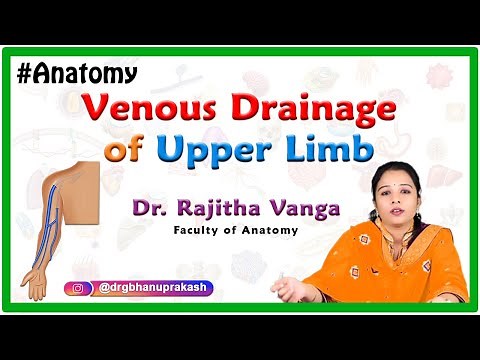 Venous Drainage of the Upper Limb