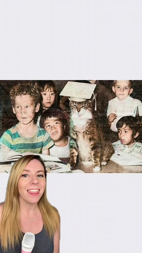 This school cat left a mark on an elementary school in Los Angeles in the 50s and 60s. His legacy is still making a difference today! Room 8 enriched student education by listening to them read and even helping them practice writing skills while responding to his “fan mail.” He also taught them to love, respect, and care for animals. His book, “A Cat Called Room 8,” is so cherished that it’s hard to get ahold of today. And his memorial cat foundation still works to find homes foe strays like him