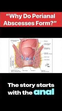 Perianal Abscess and Fistula in Ano: Anatomy and the Cryptoglandular Hypothesis