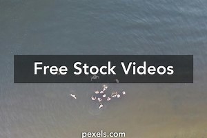 Splash+Screen+Animation Videos, Download The BEST Free 4k Stock Video Footage & Splash+Screen+Animation HD Video Clips