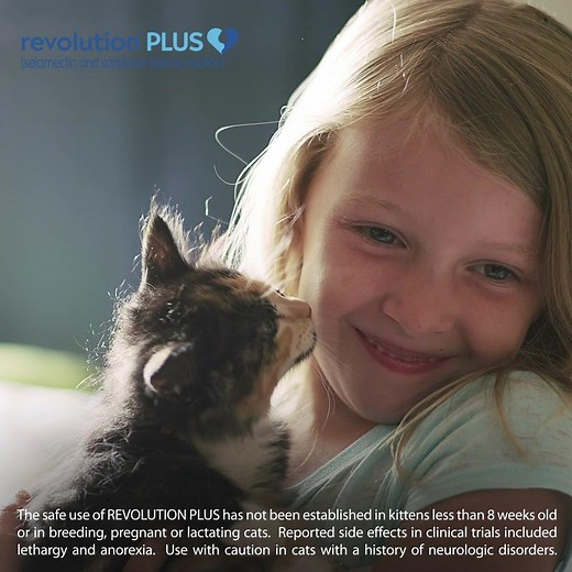 Your family and your kitten deserve the best protection. REVOLUTION PLUS helps protect the special bond between cats and their families. Prescribing Info: http://bit.ly/2QEmjLw | Zoetis