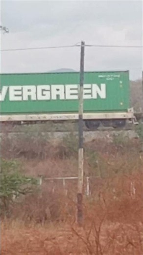 The sound of a train passing never gets old. 🚆🔥 #Train #Vibes #ViralVideo #FYP #Trending