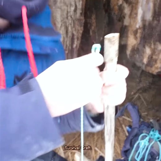 64K views · 850 reactions | Extreme Winter Overnight in a Tree Hollow _ Primitive Fire Making, Catching & Cooking Fish--003-000 | Survival Craft | Facebook