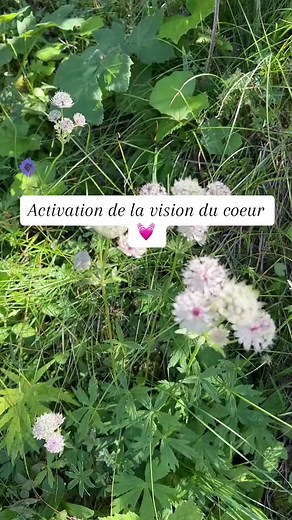 Visualisation #visualisation #chakra #meditate #healing #coeur #relaxation | Lyly bulle