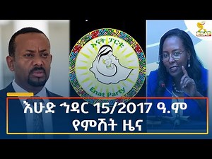 Ethiopia - Esat Amharic Night time news 24 November 2024