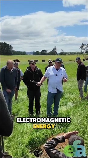 The Incredible Survival Ability of Cyanobacteria