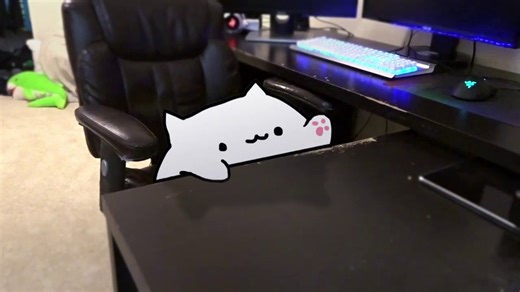 Bongo Cat in Real Life