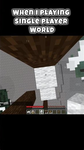 WHEN I PLAYING SINGLE PLAYER WORLD... #minecraft