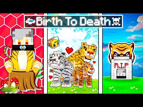 The BIRTH to DEATH of a Minecraft Tiger! 😱 (Hindi)