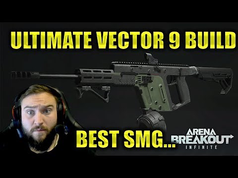 VECTOR 9 BEST BUILD INSANE Performance You Need to Try!- FULL BREAKDOWN - ARENA BREAKOUT INFINITE