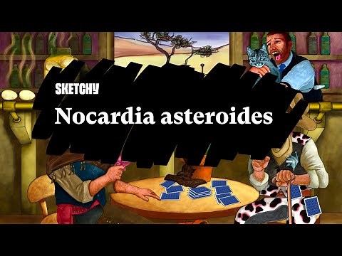 Nocardia Asteroides: Identification, Symptoms & Treatment (Part 1) | Sketchy Medical | USMLE Step 1