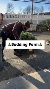 You gotta check out this indoor Christmas wonderland!🙌🏼🔥🎄 @baddingfarmmarket The holiday season is here and Badding Farm is the perfect place to celebrate and create special memories with family and friends🎄 Comment “Holiday” and we’ll send you a link to check out all of their upcoming workshops and classes!!! From searching for your Christmas tree to shopping for festive decorations to creating your own wreath, you can experience all of the holiday magic here✨🥂 Every tree here is cut the 