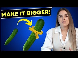 Penis Enlargement: What Works, What’s a Scam, and How Science Says You Can Gain Safely