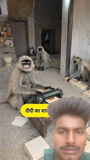 दीदी का शादी हो गया #funny #thetharpuns #shilpisaroja #comedy